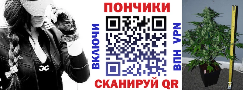 Бошки Шишки THC 21%  kraken сайт  Лебедянь 